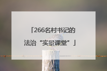 266名村书记的法治“实景课堂”