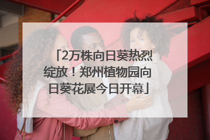 2万株向日葵热烈绽放！郑州植物园向日葵花展今日开幕