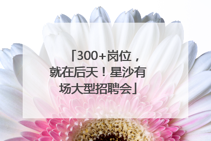 300+岗位，就在后天！星沙有场大型招聘会