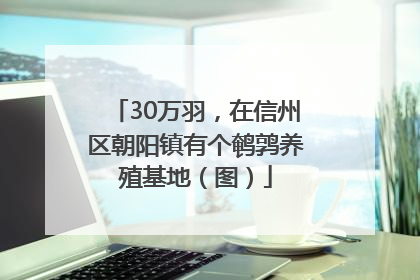 30万羽，在信州区朝阳镇有个鹌鹑养殖基地（图）