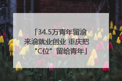 34.5万青年留渝来渝就业创业 重庆把“C位”留给青年