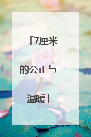 7厘米的公正与温暖