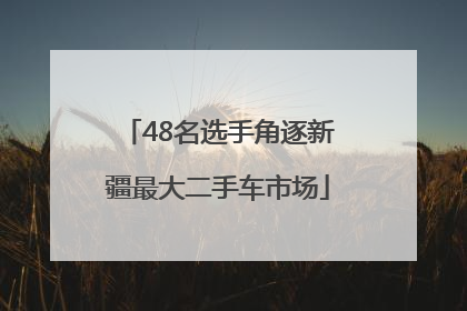 48名选手角逐新疆最大二手车市场