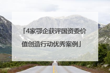 4家鄂企获评国资委价值创造行动优秀案例