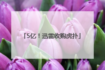 5亿！迅雷收购虎扑