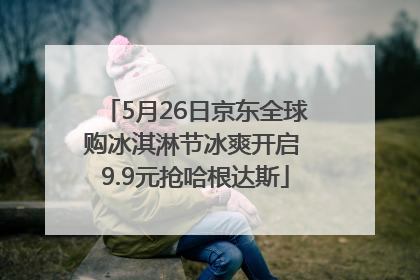 5月26日京东全球购冰淇淋节冰爽开启 9.9元抢哈根达斯