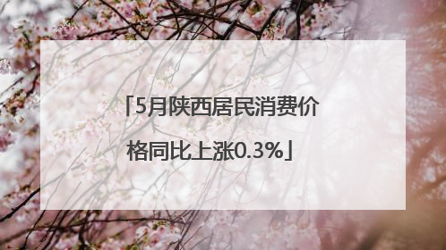 5月陕西居民消费价格同比上涨0.3%