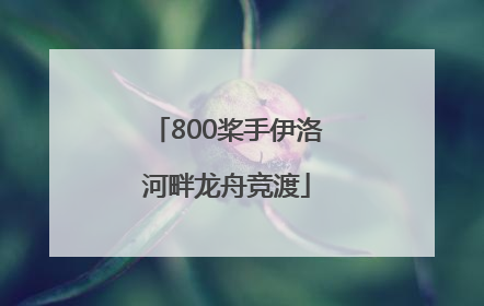 800桨手伊洛河畔龙舟竞渡