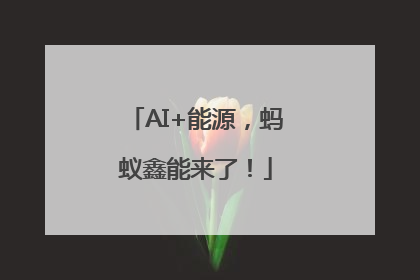 AI+能源，蚂蚁鑫能来了！