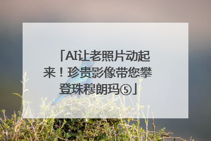 AI让老照片动起来！珍贵影像带您攀登珠穆朗玛⑤