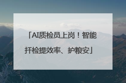 AI质检员上岗！智能扦检提效率、护粮安