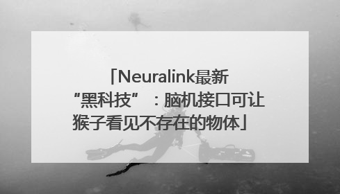 Neuralink最新“黑科技”：脑机接口可让猴子看见不存在的物体