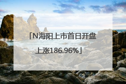 N海阳上市首日开盘上涨186.96%