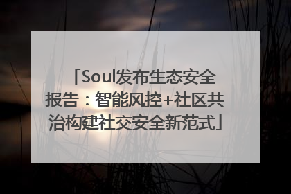 Soul发布生态安全报告：智能风控+社区共治构建社交安全新范式
